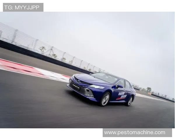 深圳极限运动队引领最新耐力挑战榜单前十名的精彩表现